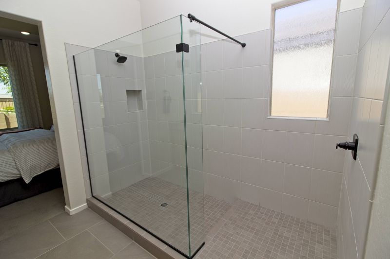 Contemporary Shower Area